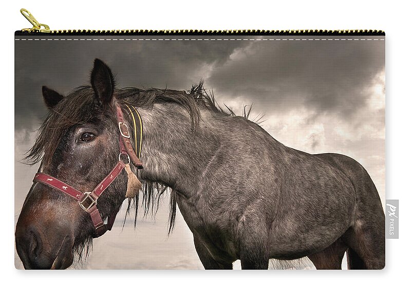 Horse Zip Pouch featuring the photograph Mare by Lauren Metcalfe