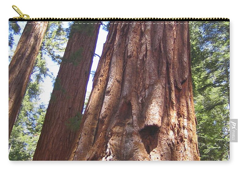 Yosemite Zip Pouch featuring the photograph Mariposa Grove Giant Ancient Trees Yosemite National Park by John Shiron