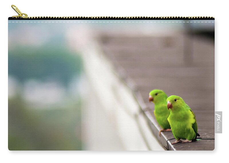 Animal Themes Zip Pouch featuring the photograph Maritacas by (c) Conrado Tramontini