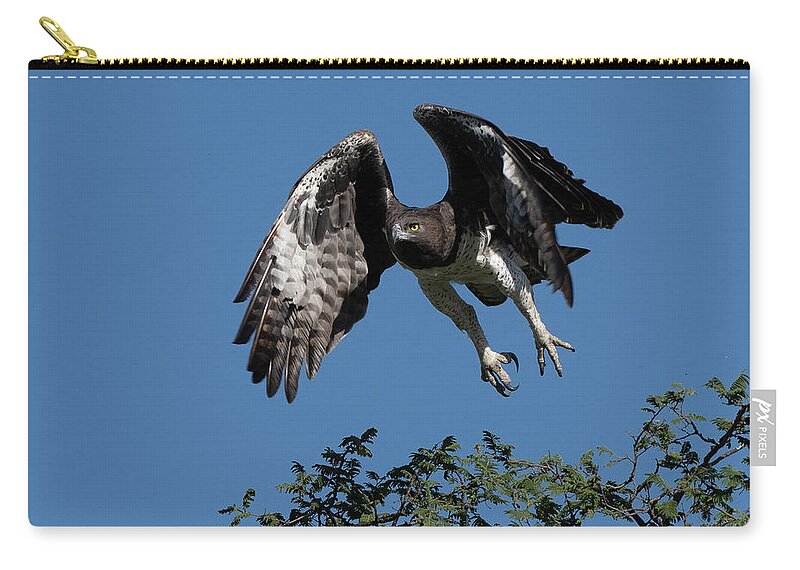 Martial Zip Pouch featuring the photograph Martial Eagle by Patrick Nowotny