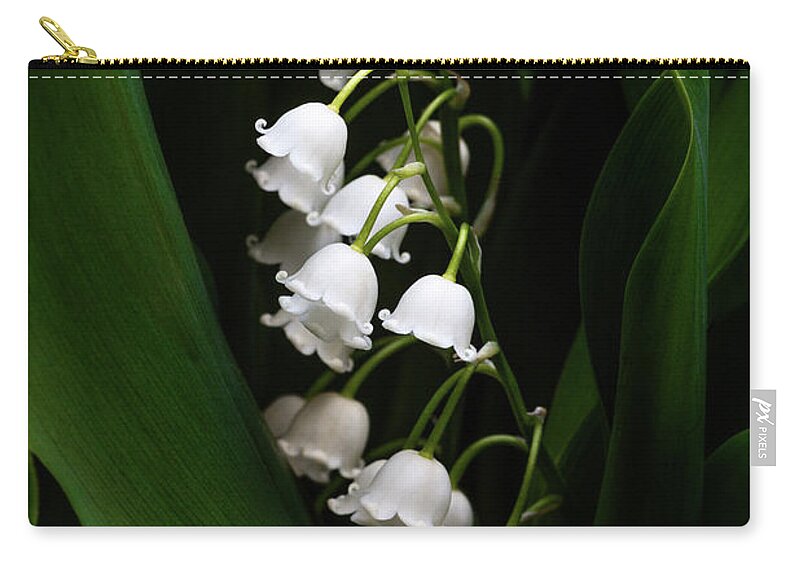 Convallaria Majalis Zip Pouch featuring the photograph May Lily aka Lily of the Valley by Tom Mc Nemar