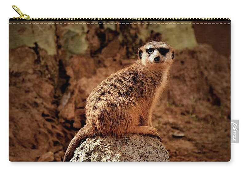 Meerkat Carry-all Pouch featuring the photograph Meerkat by Lucie Dumas