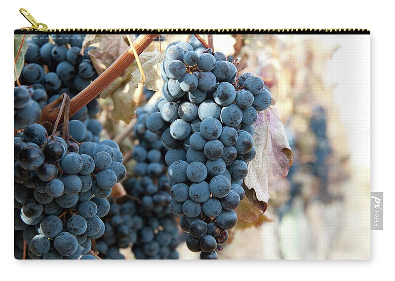 Bunch Zip Pouch featuring the photograph Merlot Grapes On The Vine For Late by Stuart Mccall