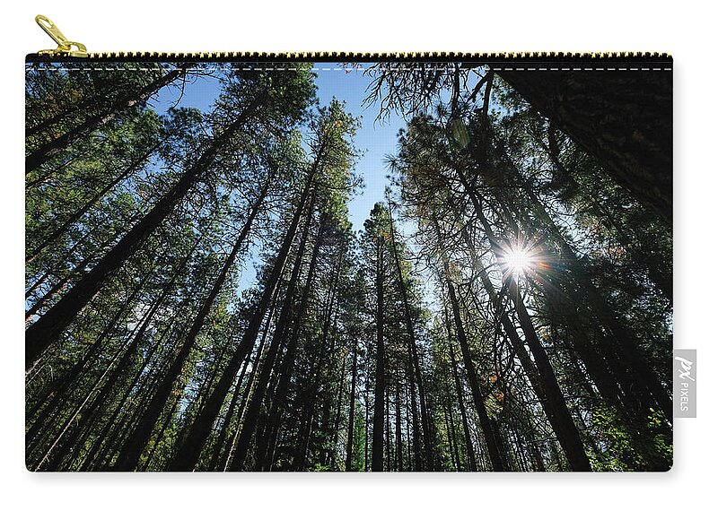 Forest Zip Pouch featuring the photograph Metolius River Trees by Sherrie Triest