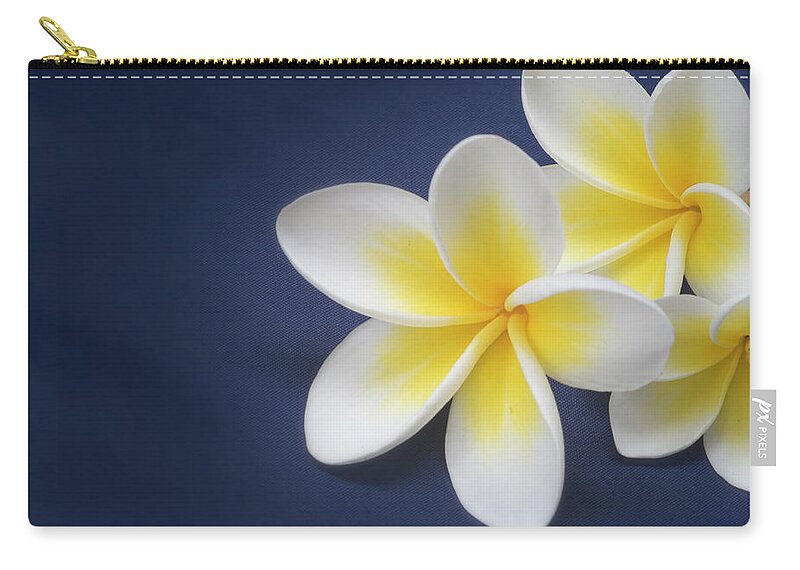 Flowerbed Zip Pouch featuring the photograph Midnight Blue Plumerias by Rodkosmos