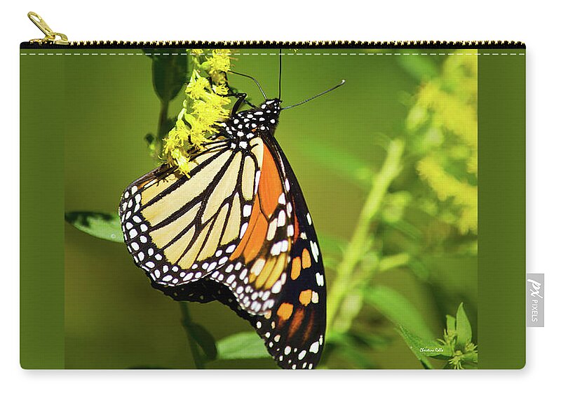 Monarch Butterfly Zip Pouch featuring the photograph Migrating Monarch Butterfly by Christina Rollo