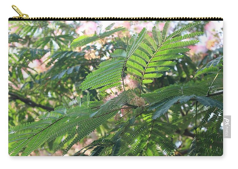 Mimosa Tree Carry-all Pouch featuring the photograph Mimosa Tree Blooms and Fronds by Christopher Lotito