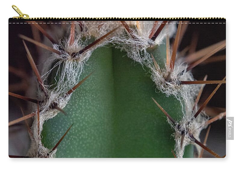 Background Zip Pouch featuring the photograph Mini Cactus Up Close by Scott Lyons