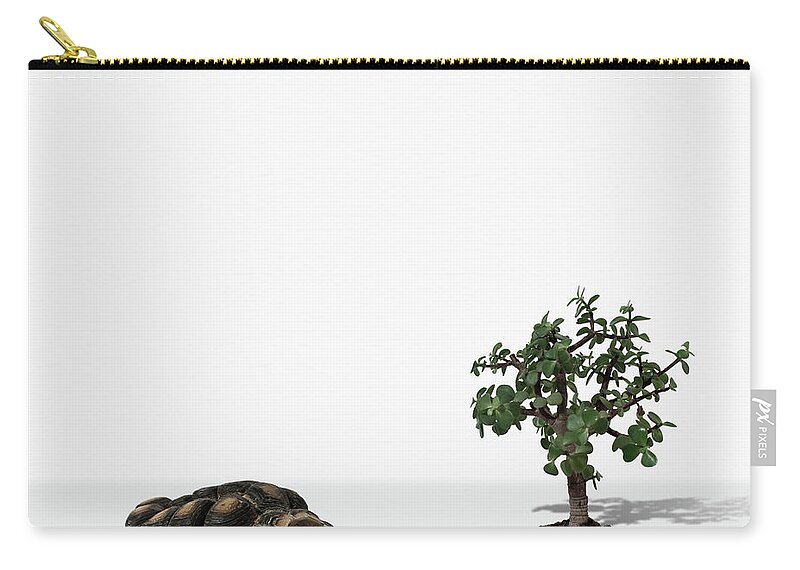 White Background Zip Pouch featuring the photograph Mini Tree And Turtle by Fotografias De Rodolfo Velasco