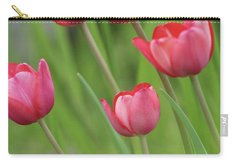 Flowers Zip Pouch featuring the photograph Mini tulips by Pics by Jody Adams