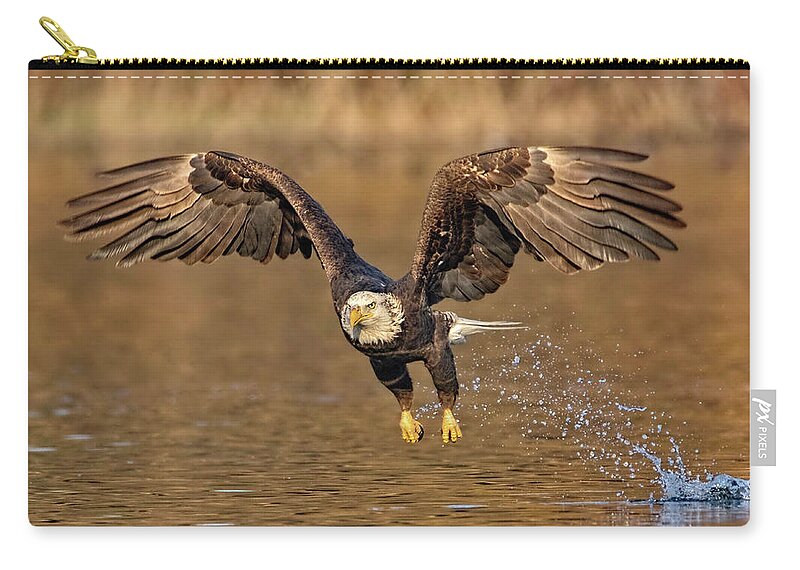 Bald Eagle Zip Pouch featuring the photograph Missed It by Beth Sargent
