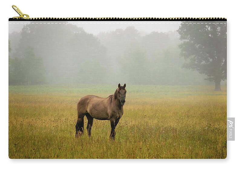 Horses Zip Pouch featuring the photograph Misty Morning by Steve L'Italien