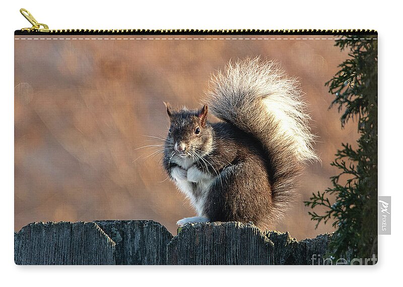 Squirrel Zip Pouch featuring the photograph Mittens the Squirrel by Sandra J's