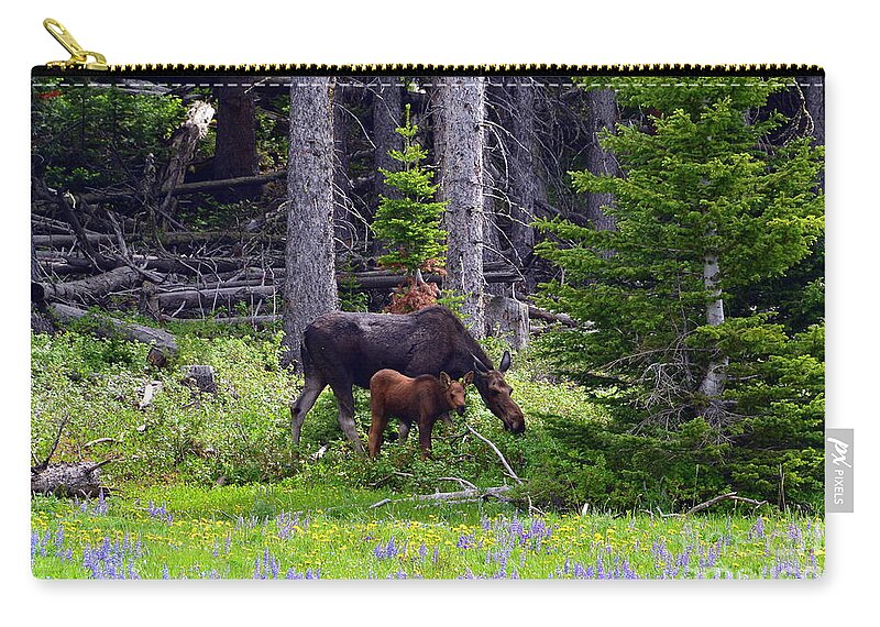 Moose Zip Pouch featuring the photograph Mom and Baby by Dorrene BrownButterfield