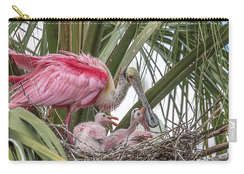 Spoonbill Zip Pouch featuring the photograph Mom and Chicks by Dorothy Cunningham