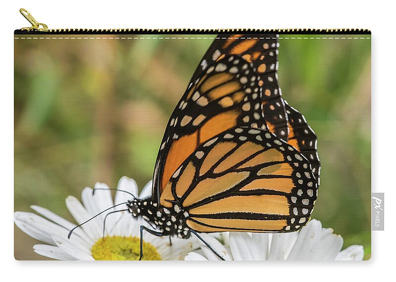 Butterfly Carry-all Pouch featuring the photograph Monarch and Daisies by Cathy Kovarik