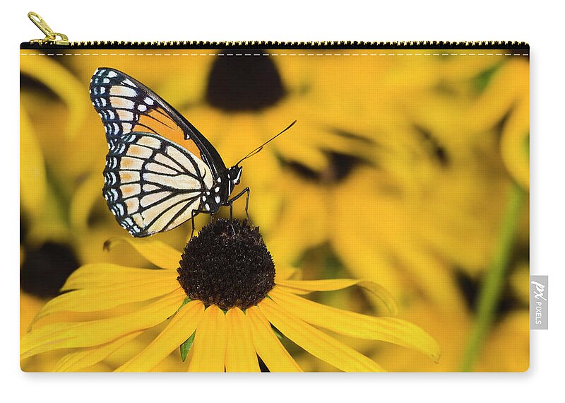 Flowerbed Zip Pouch featuring the photograph Monarch Butterfly On Black-eyed Susan by Alpamayophoto