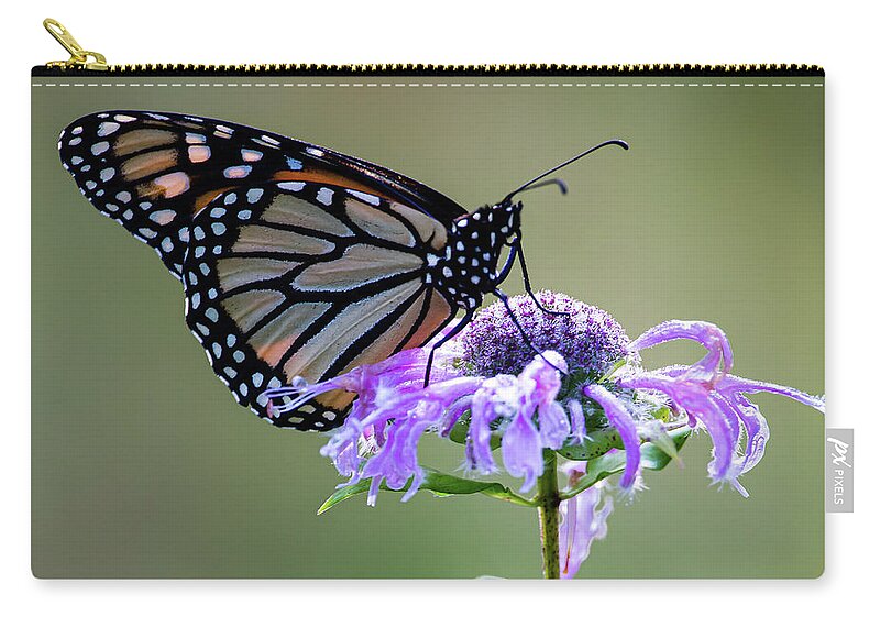 Monarch Butterfly Portrait Zip Pouch featuring the photograph Monarch Butterfly Portrait by Dale Kincaid