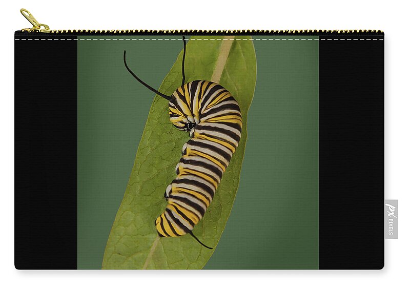 Monarch Zip Pouch featuring the photograph Monarch by Larry Linton