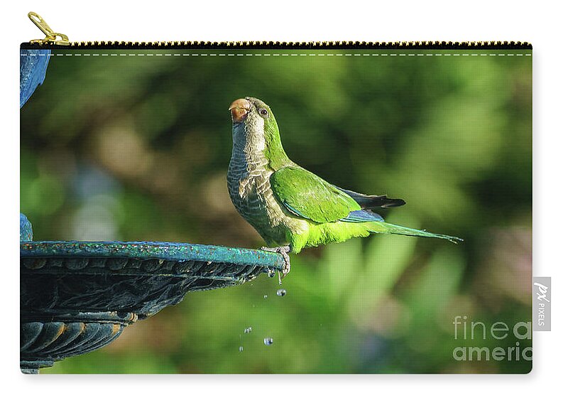 Pretty Zip Pouch featuring the photograph Monk Parakeet at Genoves Park Fountain Cadiz by Pablo Avanzini