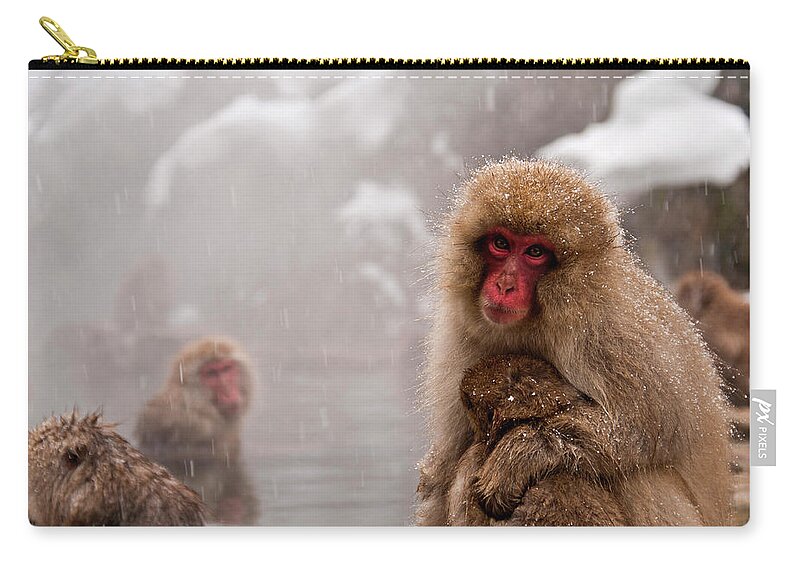 Snow Zip Pouch featuring the photograph Monkeys by Photographer Aron Pena