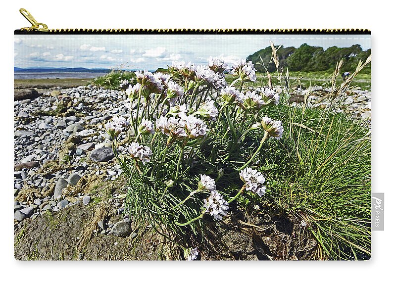 Morecambe Carry-all Pouch featuring the photograph MORECAMBE. Hest Bank. Sea Thrift. by Lachlan Main