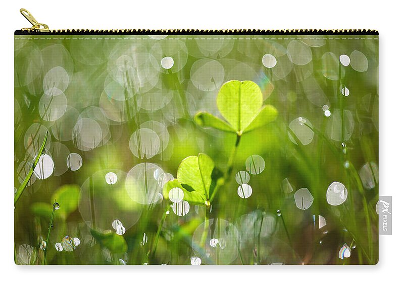 Tranquility Zip Pouch featuring the photograph Morning by Ana Lukascuk