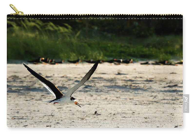 Susan Molnar Zip Pouch featuring the photograph Morning Catch by Susan Molnar