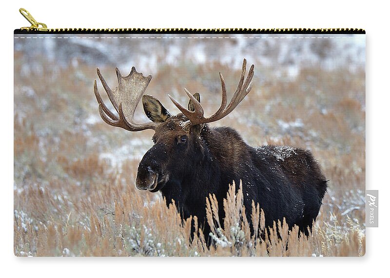 Moose Zip Pouch featuring the photograph Morning Moose by Michael Morse