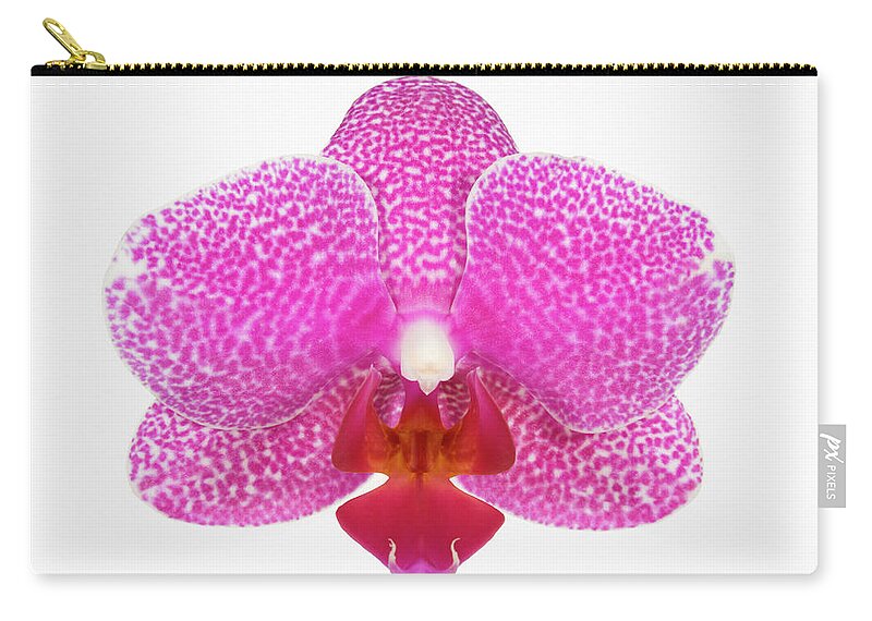 White Background Carry-all Pouch featuring the photograph Moth Orchid Phalaenopsis Sp., Close Up by Geoff Du Feu