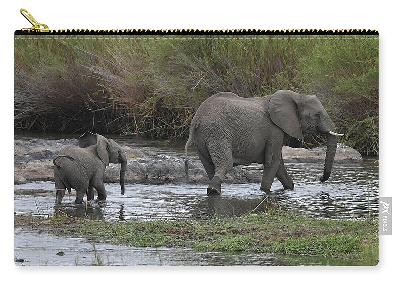 Elephant Zip Pouch featuring the photograph Following Mom by Ben Foster
