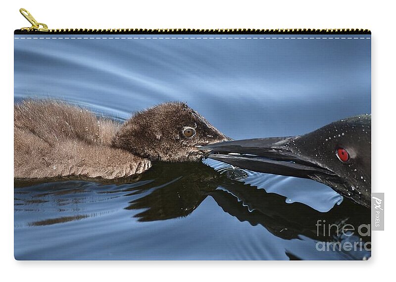 Loons Zip Pouch featuring the photograph Mother and Baby by Steve Brown