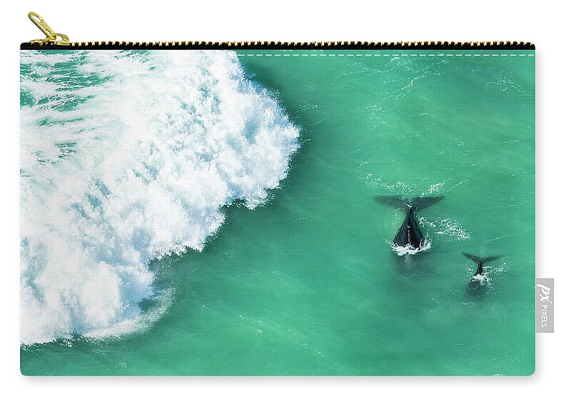 Animals In The Wild Zip Pouch featuring the photograph Mother And Calf Southern Right Whale by Peter Chadwick