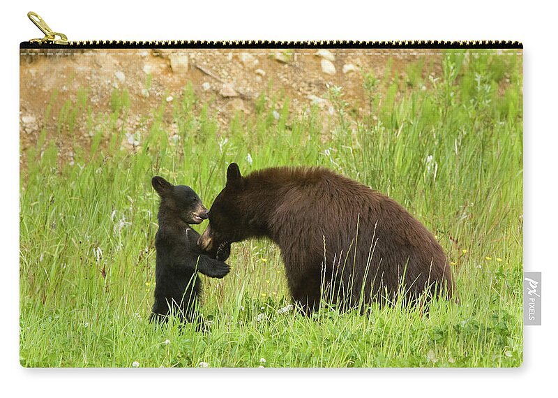 American Black Bear Zip Pouch featuring the photograph Mother Bear With Her Cub by Visualcommunications