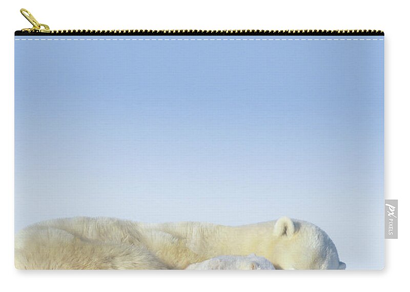 Bear Cub Zip Pouch featuring the photograph Mother Polar Bear & Cub Sleeping by Art Wolfe