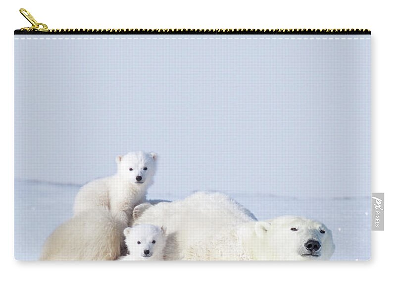 Bear Cub Zip Pouch featuring the photograph Mother Polar Bear With Cubs, Canada by Art Wolfe
