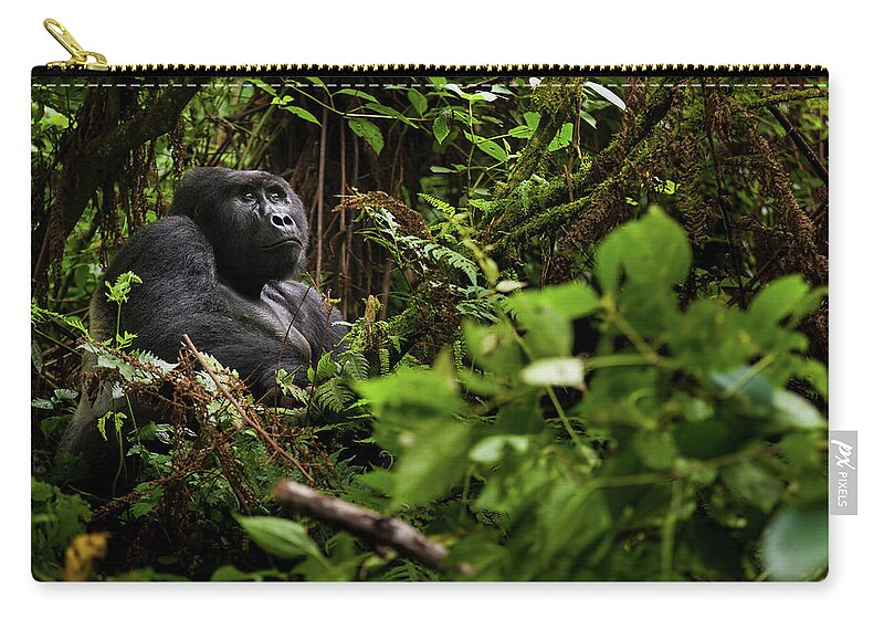 Vertebrate Zip Pouch featuring the photograph Mountain Gorilla, Volcanoes National by Mint Images - Art Wolfe