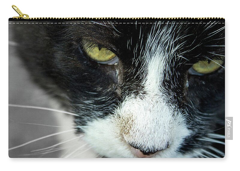 Cats Zip Pouch featuring the photograph Mr. Tom's Close-Up by Sandra Dalton