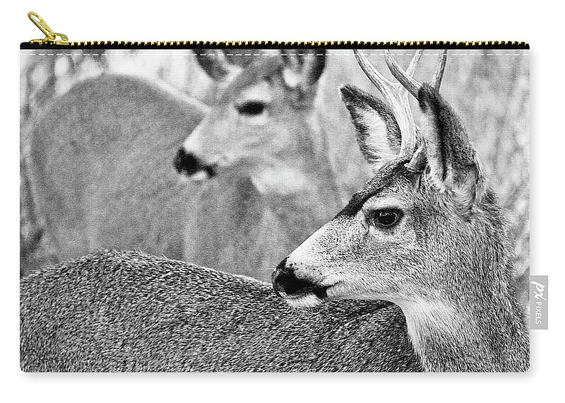 Mule Deer Zip Pouch featuring the photograph Mule Deer #3 by Neil Pankler