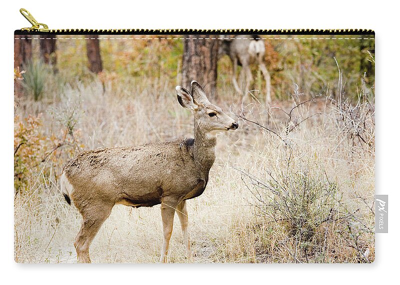 Animal Themes Zip Pouch featuring the photograph Mule Deer Does by Swkrullimaging