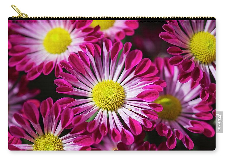 Mum Zip Pouch featuring the photograph Mum is the Word by Terri Hart-Ellis