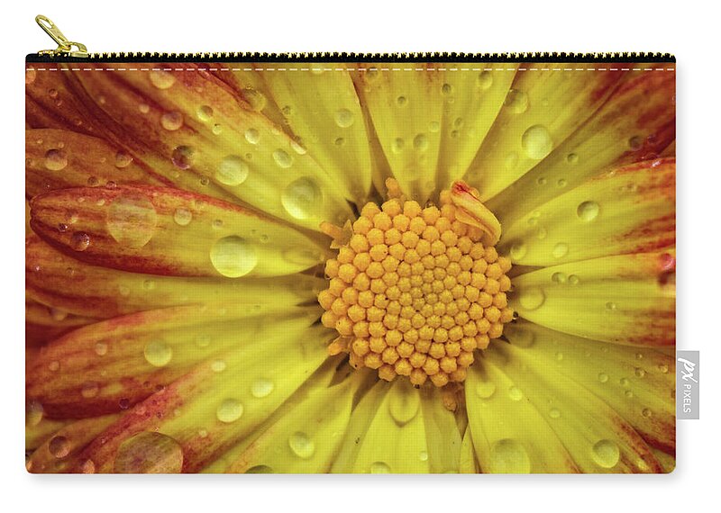 Flower Zip Pouch featuring the photograph Mum by Michelle Wittensoldner