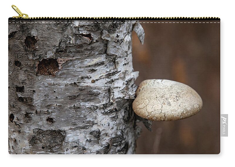 Mushroom Zip Pouch featuring the photograph Mushroom on Birch by Laura Smith