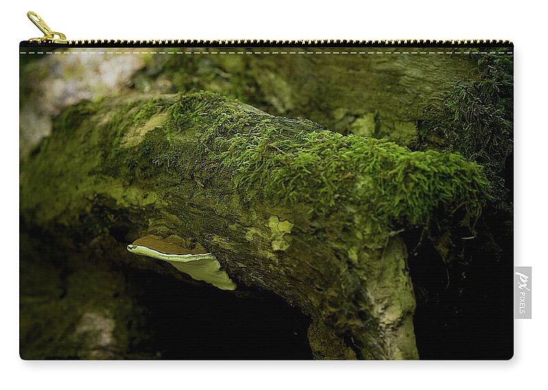 Pacific Northwest Zip Pouch featuring the photograph Mushroom Beneath a Log by Rich Collins