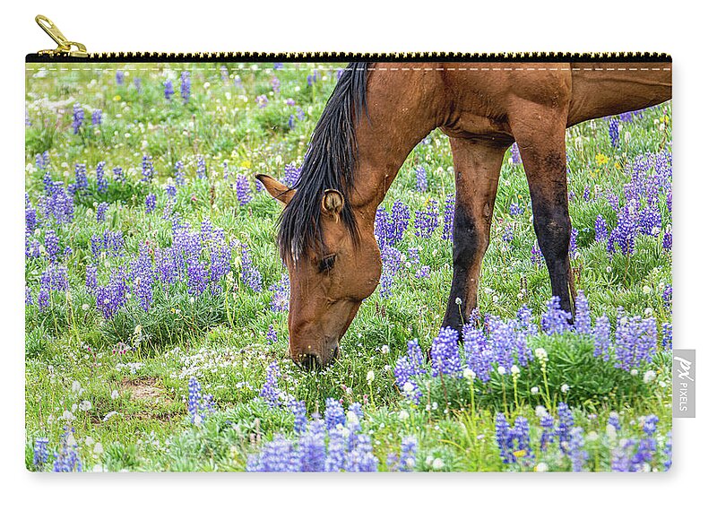 Pryor Mountain Zip Pouch featuring the photograph Mustang Among Lupines by Douglas Wielfaert