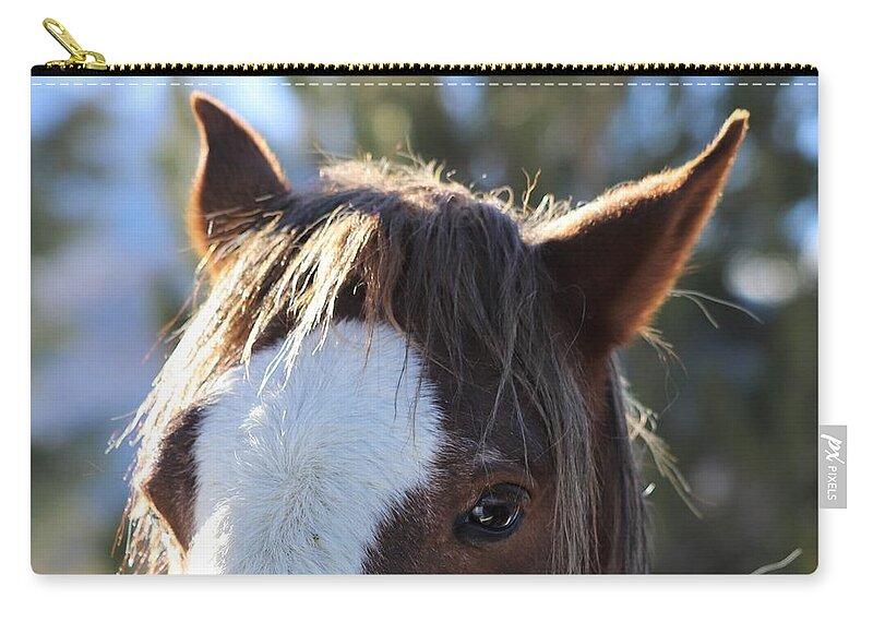 Mustang Zip Pouch featuring the photograph Mustang Close Up by Maria Jansson