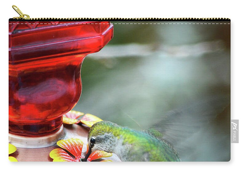 Hummingbird Zip Pouch featuring the photograph My Hummingbird by Carol Eliassen