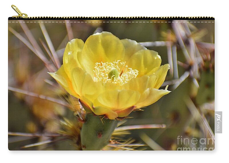 Arizona Zip Pouch featuring the photograph My Time To Glow by Janet Marie