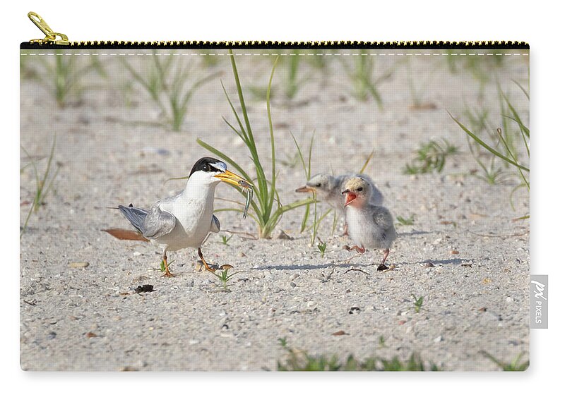 Bird Zip Pouch featuring the photograph My Turn for Breakfast by Susan Rissi Tregoning