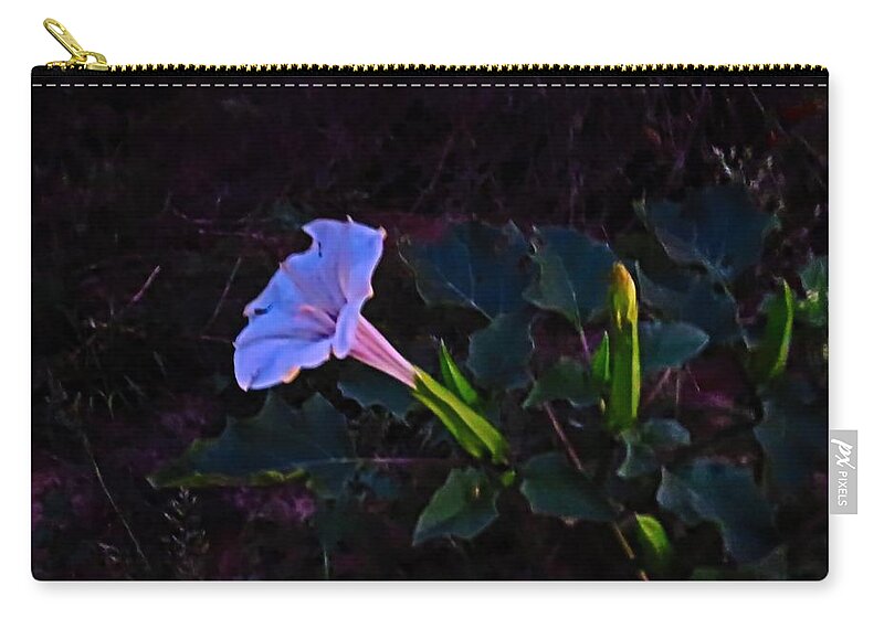 Arizona Carry-all Pouch featuring the photograph Mysterious Moonflower by Judy Kennedy
